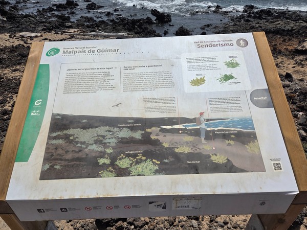 Mesa interpretativa sobre la vegetación costera y la playa de Las Arenitas en el Malpaís de Güímar.