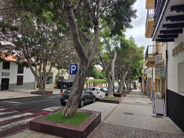 Calle arbolada con amplias aceras en el casco de Adeje.