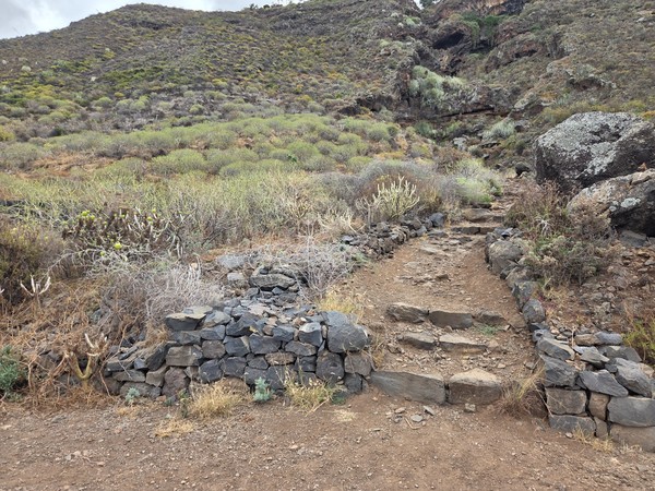 Escalones de piedra y pequeños muros secos en un tramo de bajada por Las Breñas.