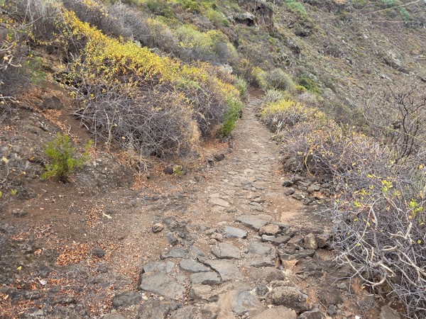 Cruce superior con señales hacia Costa El Sauzal y Las Breñas junto a una parada de guagua.