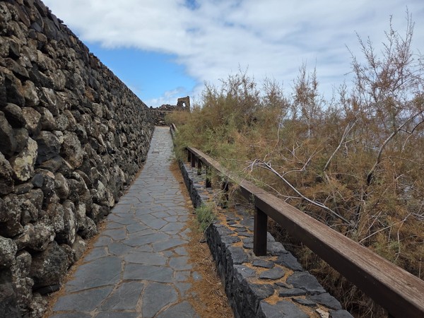 Pasarela estrecha entre muro de roca y vegetación costera.