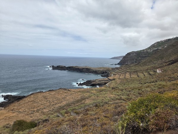 Vista general de la Costa de El Sauzal con terrazas agrícolas y calas rocosas junto al Atlántico.