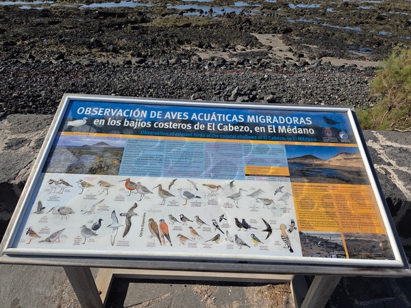 Cartel de observación de aves acuáticas migradoras en los bajos costeros de El Cabezo, El Médano.