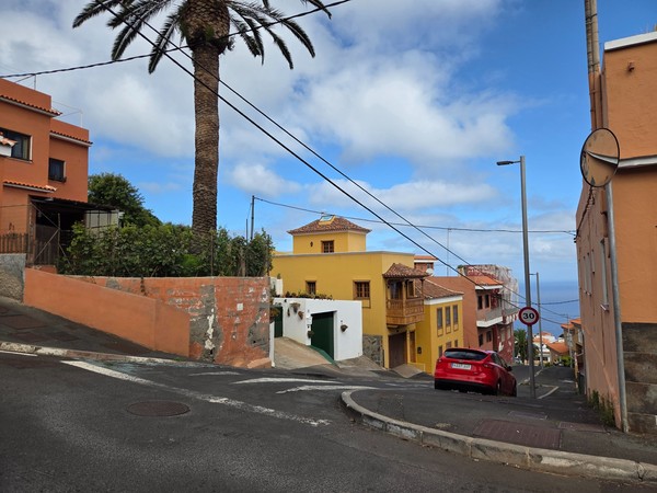 Conjunto de casas coloridas y palmeras con el océano visible en el horizonte.