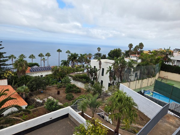 Vista elevada de viviendas con palmeras y el mar al fondo en la costa de El Sauzal.