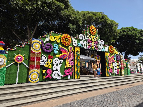 Gran arco festivo multicolor de flores y mariposas en la plaza de Garachico.