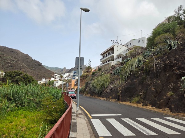 Carretera de acceso a Igueste con paso de peatones y chumberas en la roca.