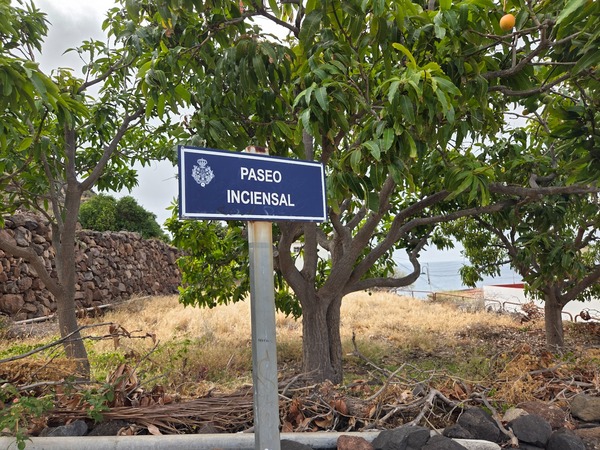 Tramo del paseo costero con barandilla y muros de piedra frente al mar.