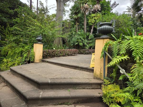 Escalinata antigua de piedra rodeada de helechos y palmeras tropicales