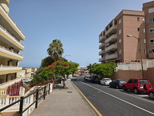 Árboles de flor roja en una calle residencial de Las Caletillas con edificios y coches aparcados.