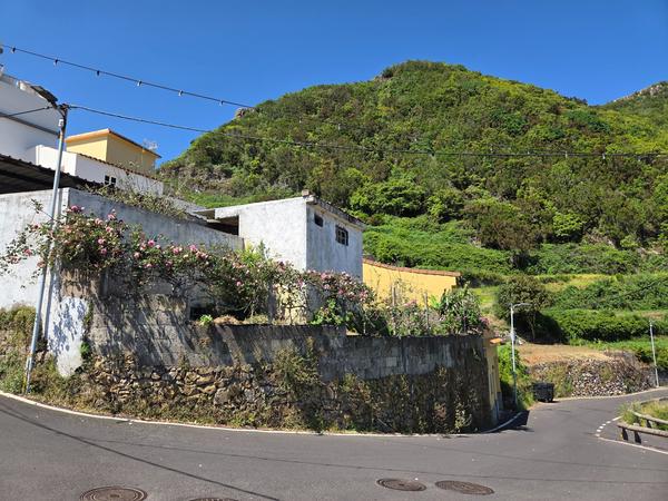 Casa rural con muros encalados y rosales trepadores en plena floración.