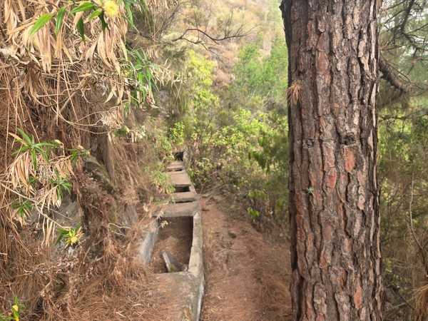 Paso sobre un antiguo canal de agua de hormigón tallado en la ladera, con escalones y ramas secas.