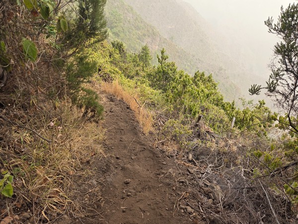 Tramo seco y pedregoso del camino en la dorsal, con rodadas y piedra suelta.