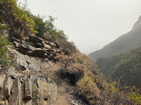 Senda estrecha y pedregosa sobre la ladera, con vegetación de pinar alrededor.