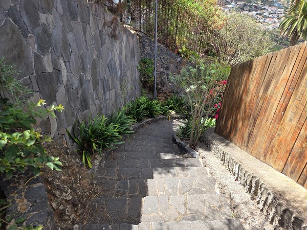 Tramo empedrado y estrecho de escaleras entre muros de piedra y plantas.