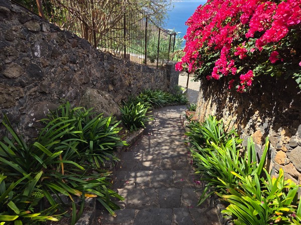Pasillo con buganvillas fucsias y escalones que descienden hacia el mar.