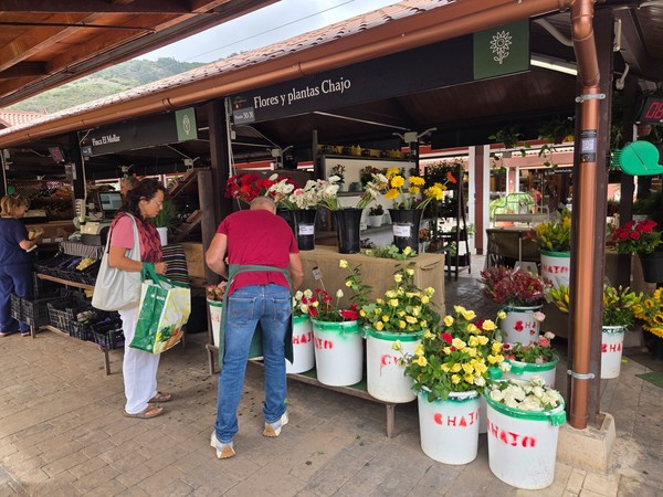 Puesto de flores con ramos de rosas y gerberas etiquetados en cubos blancos.