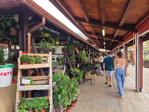 Pasillo de vivero con macetas de aromáticas y plantas ornamentales en estanterías de madera.