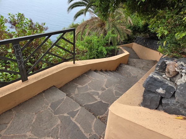 Escalera con curvas suaves y barandilla metálica entre palmeras y adelfas junto a la ladera del acantilado.
