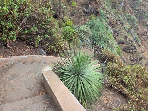Escalera estrecha que serpentea junto a una pared de roca basáltica con vegetación de ladera.