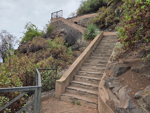 Escalera recta tallada en la ladera con muretes laterales y un gran rosetón de pita o agave dominando la escena.