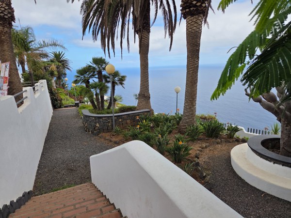 Escaleras y sendero ajardinado que descienden entre palmeras hacia las terrazas del Mirador de La Garañona.