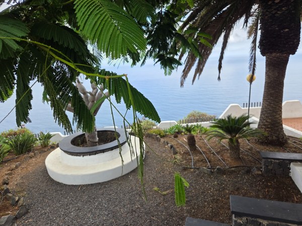 Paseo con palmeras, pérgolas de madera y parterres de suculentas en el Mirador de La Garañona.