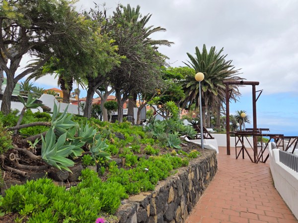 Parterres con suculentas y muros de piedra volcánica junto al paseo del Mirador de La Garañona en El Sauzal.