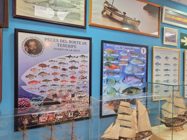 Paneles sobre peces del norte de Tenerife y consumo responsable junto a maquetas navales en el museo.