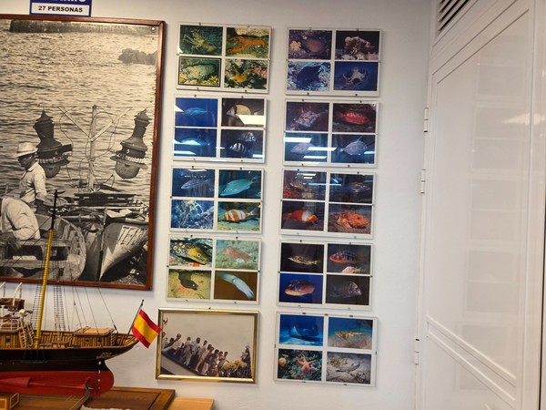 Paneles con fotografías de peces y vida submarina tomadas en aguas de Tenerife.