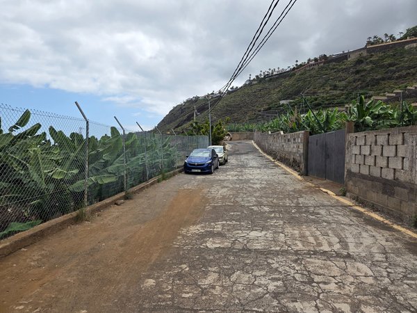 Camino asfaltado y agrietado entre plataneras que conduce al inicio del sendero hacia Playa El Ancón.