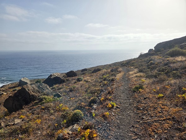 Sendero costero hacia Playa de Las Breñas con matorral y vistas abiertas del océano Atlántico.