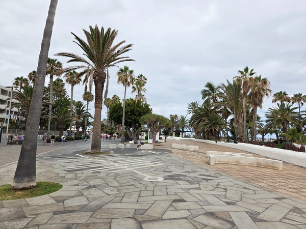 Paseo marítimo bordeado de palmeras junto a Playa Martiánez en Puerto de la Cruz.