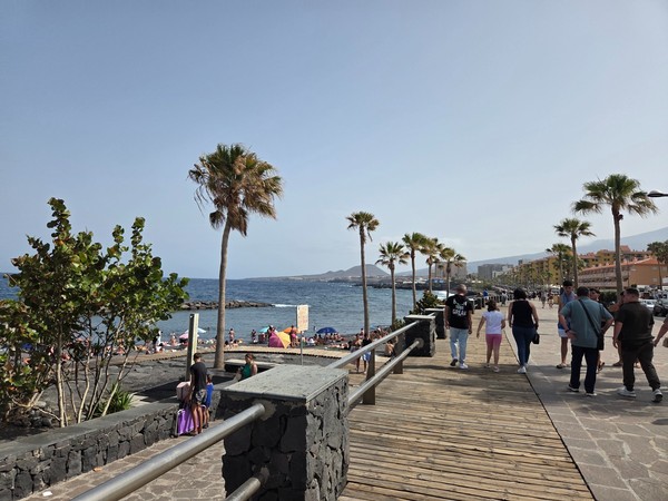 Familias caminando por el paseo marítimo junto a las palmeras frente a la Playa de Punta Larga.