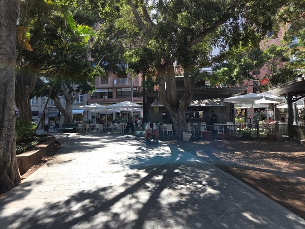 Terraza con sombrillas blancas y mesas junto a los quioscos de la plaza, ambiente tranquilo a la sombra.