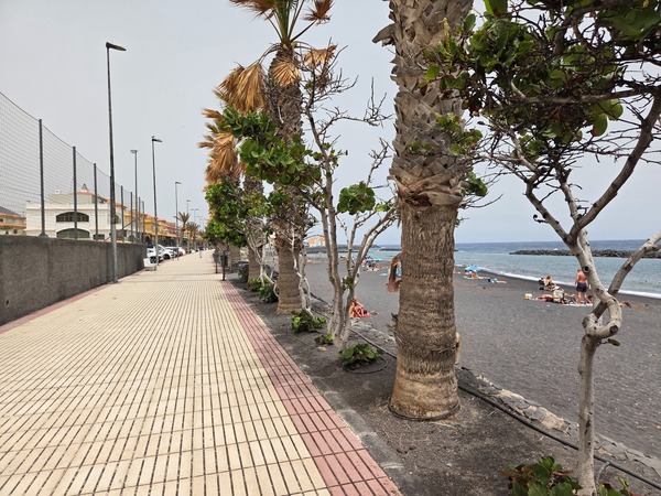 Paseo peatonal paralelo a la playa con palmeras y baldosas, ideal para caminar y correr.