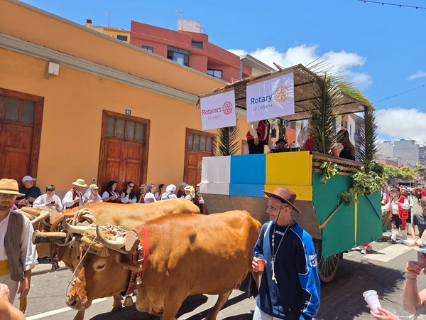 Carreta del Rotary La Laguna tirada por bueyes con techado de hojas de palma.