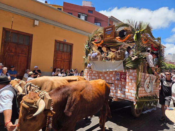 Carreta decorada con rótulo de la Romería de San Benito Abad 2025 y grandes yuntas al frente.