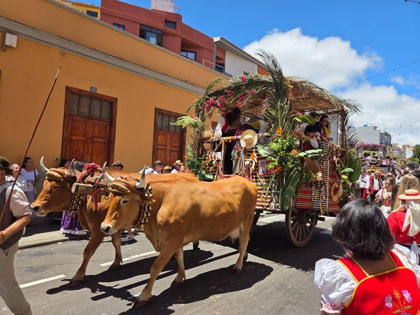 Carreta adornada con flores tropicales y techado de hojas mientras avanza por la calle.