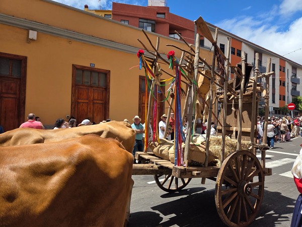 Carro de madera con aperos agrícolas y sacos, tirado por bueyes.