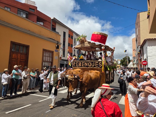 Carreta REBENQUES con gran adorno superior y yunta de bueyes al frente.