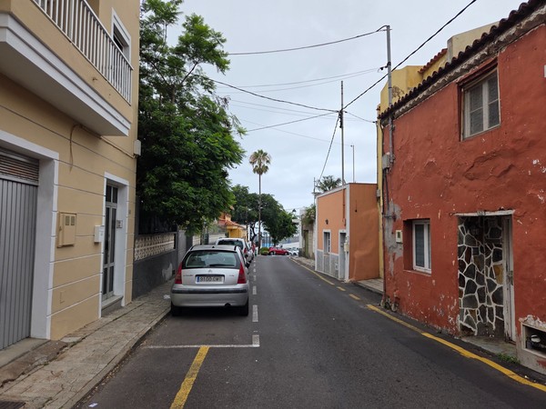Callejón residencial con palmera Calle estrecha de Tacoronte con casas bajas de colores y palmera al fondo, típica escena residencial del casco.