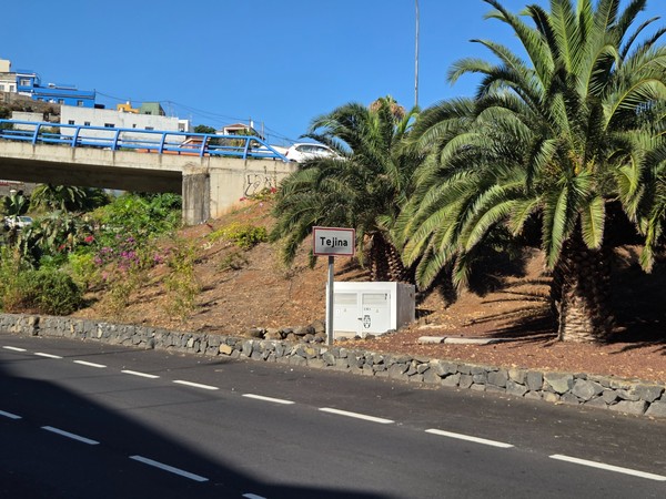 Señal de entrada a Tejina junto a palmeras y el paso elevado de la carretera.
